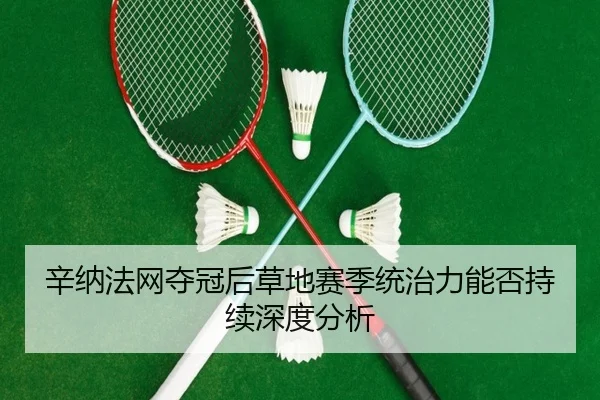 辛纳法网夺冠后草地赛季统治力能否持续深度分析